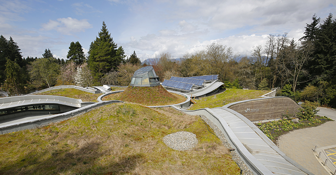 How to Waterproof a Green Roof in Vancouver