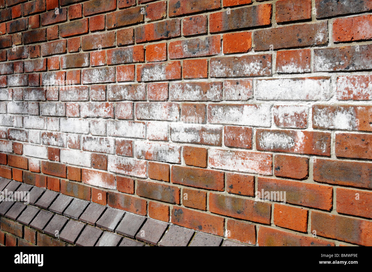 Efflorescence on mass masonry parapet