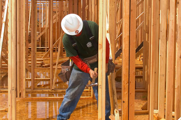 Carpenter building home structure